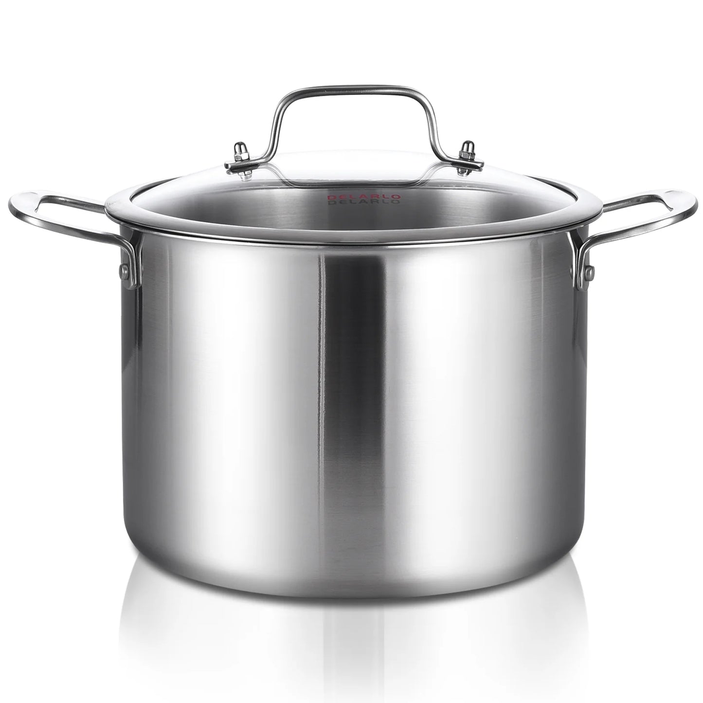 DELARLO Tri-ply Stainless Steel StockPot 8QT, Induction Cooking Pot 18/10 Stockpots Food Grade, Durable Soup Pot Stew Simmering Pot with Glass Lid Suitable for All stoves